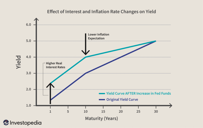 Yield curve bonds rba purchases asset